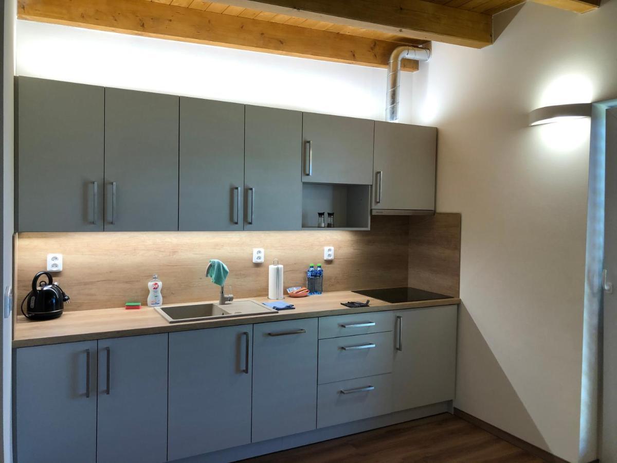 ANICO apartmány Dolni Benesov Kültér fotó