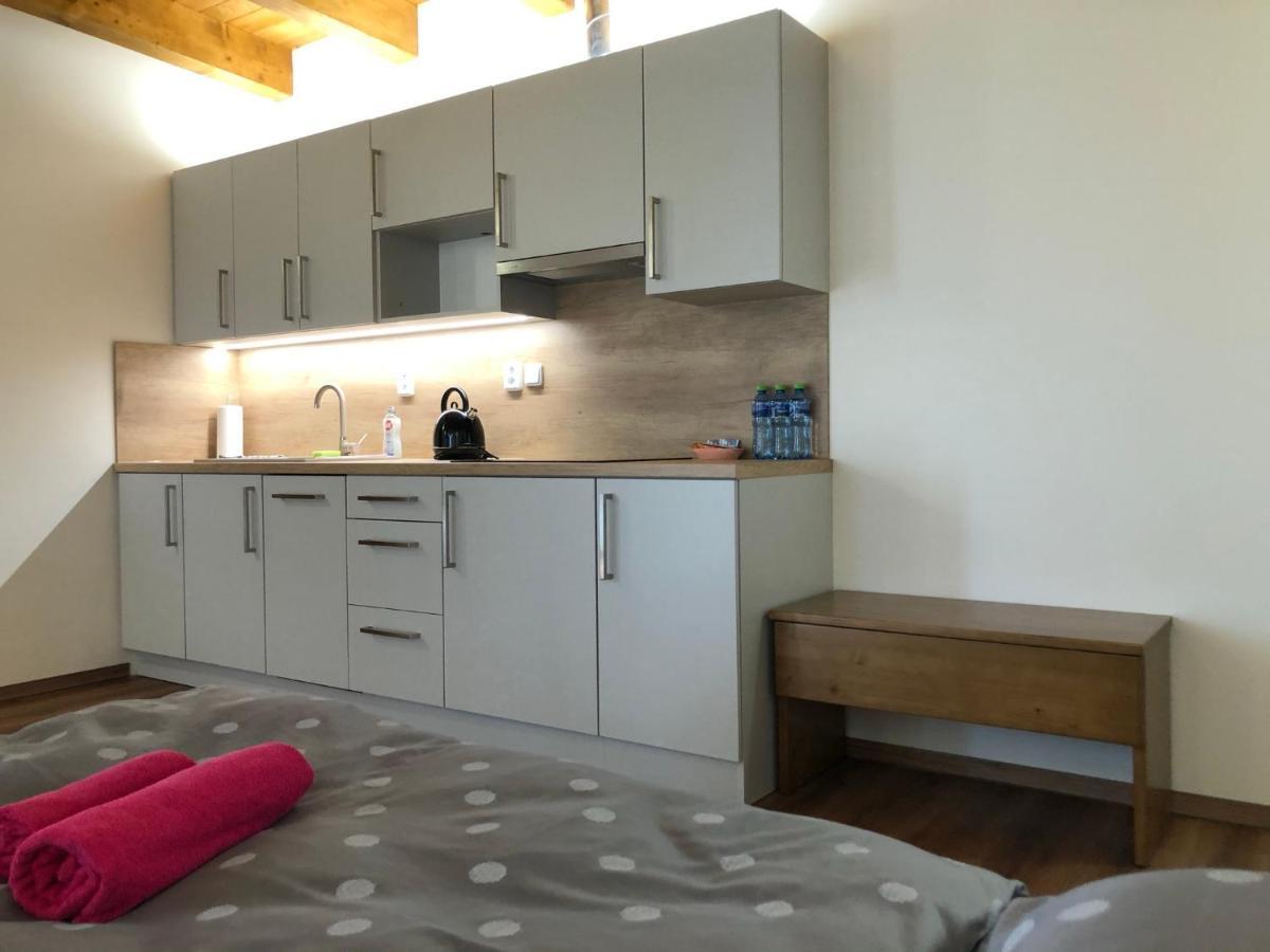 ANICO apartmány Dolni Benesov Kültér fotó