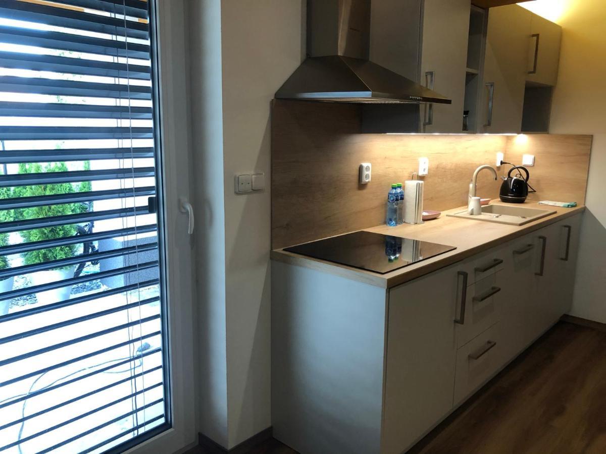 ANICO apartmány Dolni Benesov Kültér fotó